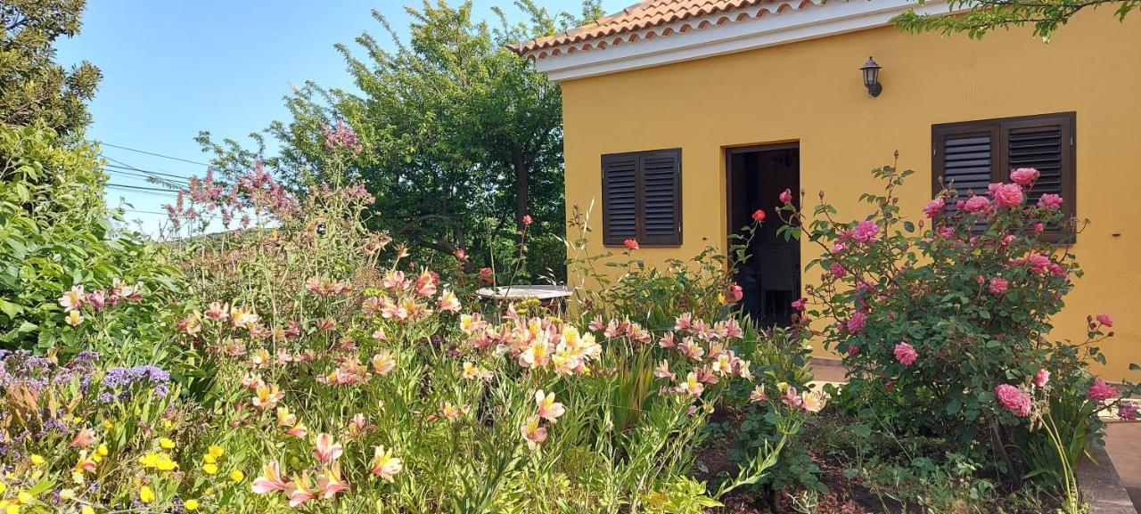 Casa Fatima Valle Gran Rey Zewnętrze zdjęcie